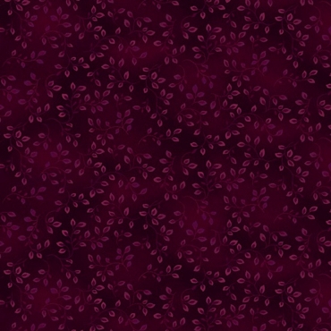 Aubergine Vines